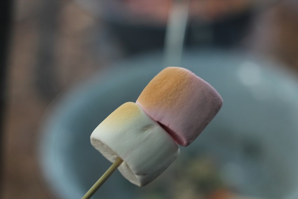 marshmellows