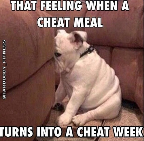 cheat-meals-cheat-days-gezond-eten