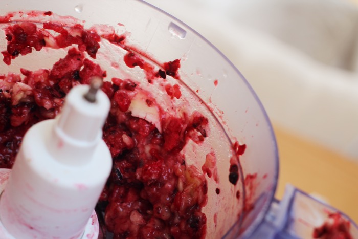 recept-rode-vruchten-icecream-bowl-3