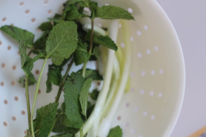 recept-couscous-watermeloen-salade-4