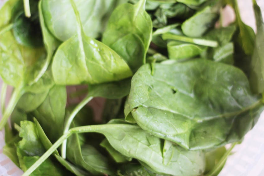 zelf-salade-buddha-bowl-maken-4