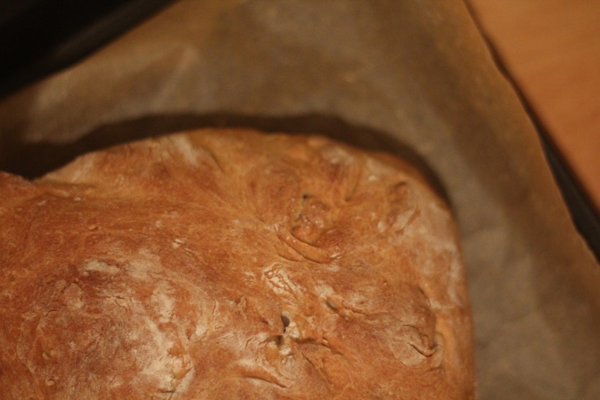 recept-zelf-makkelijk-volkoren-brood-maken-10