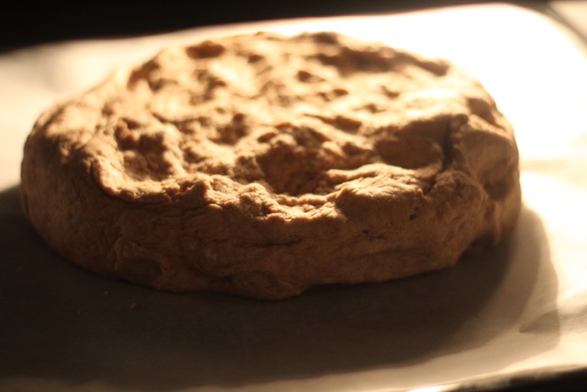 recept-zelf-makkelijk-volkoren-brood-maken-18